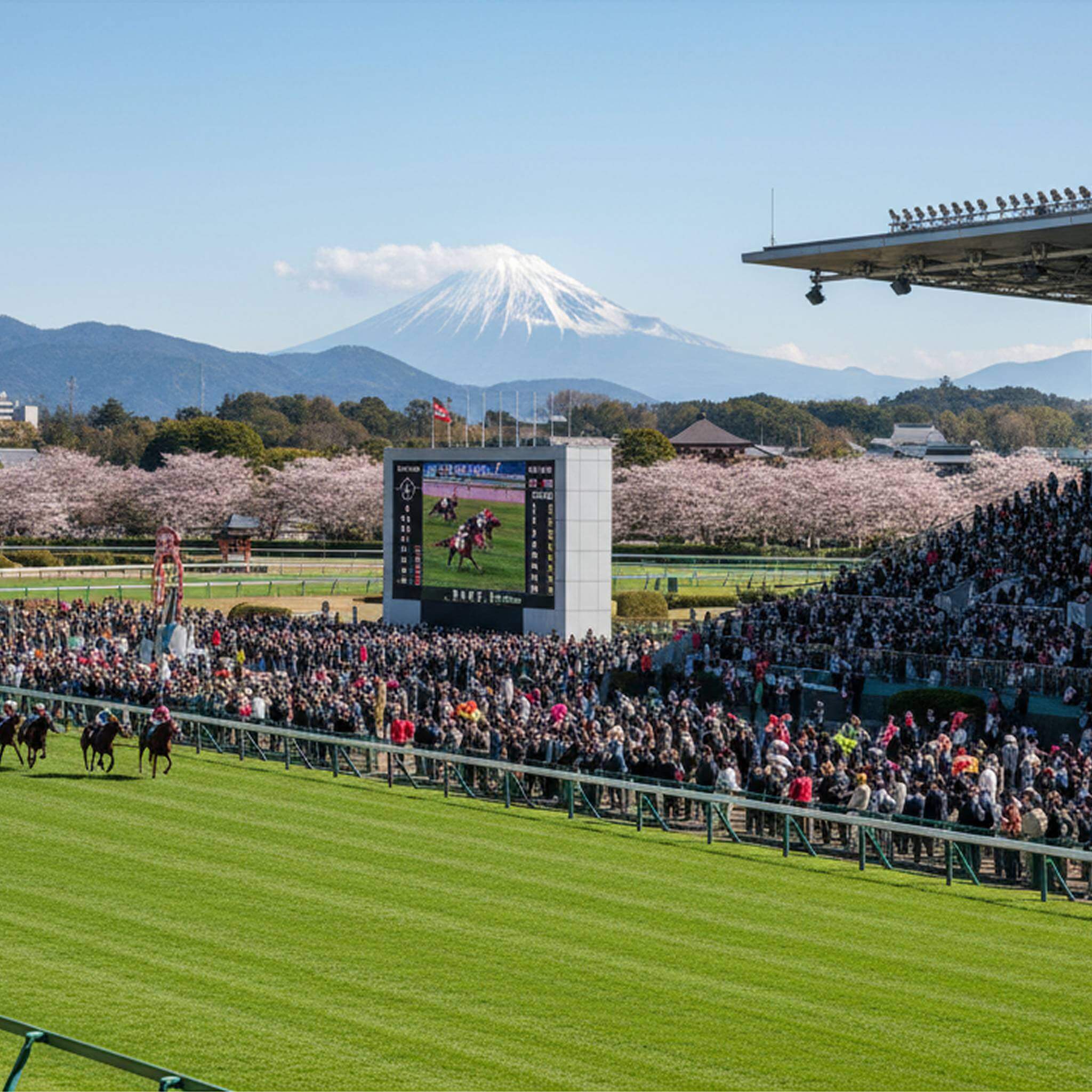 日本全国の競馬場マップ